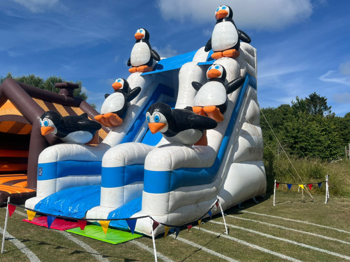 Penguin Slide