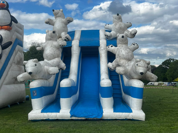 Polar Bear Slide